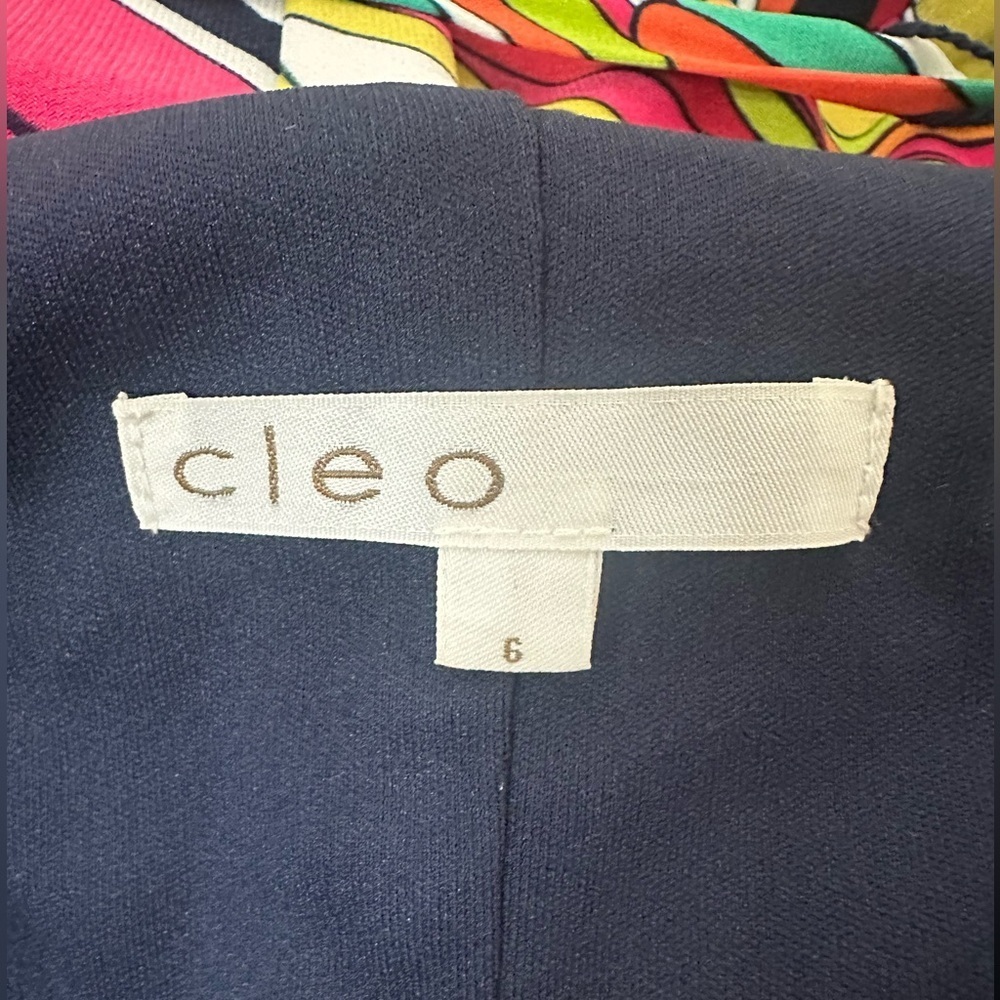 Cleo Multicolor Abstract Print Women's Dress size 6 - Picture 4 of 8